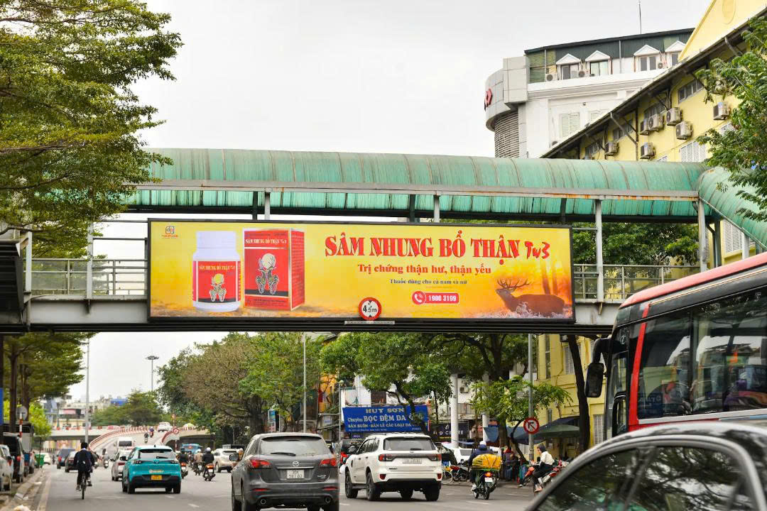 Cầu vượt đi bộ Trần Quang Khải, Hà Nội